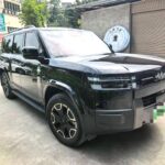2025 Fangchengbao Ti7, 20000km