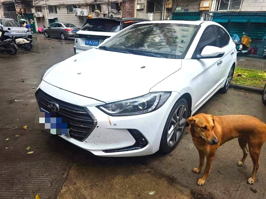 Hyundai 1.6L Automatic Luxury