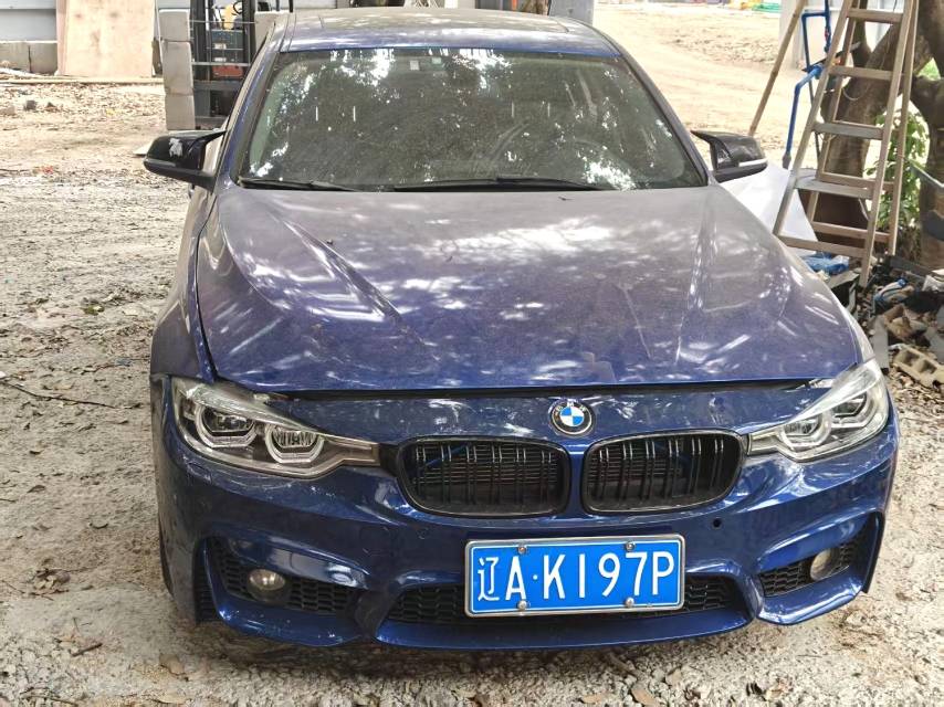 BMW 3 316Li Fashion