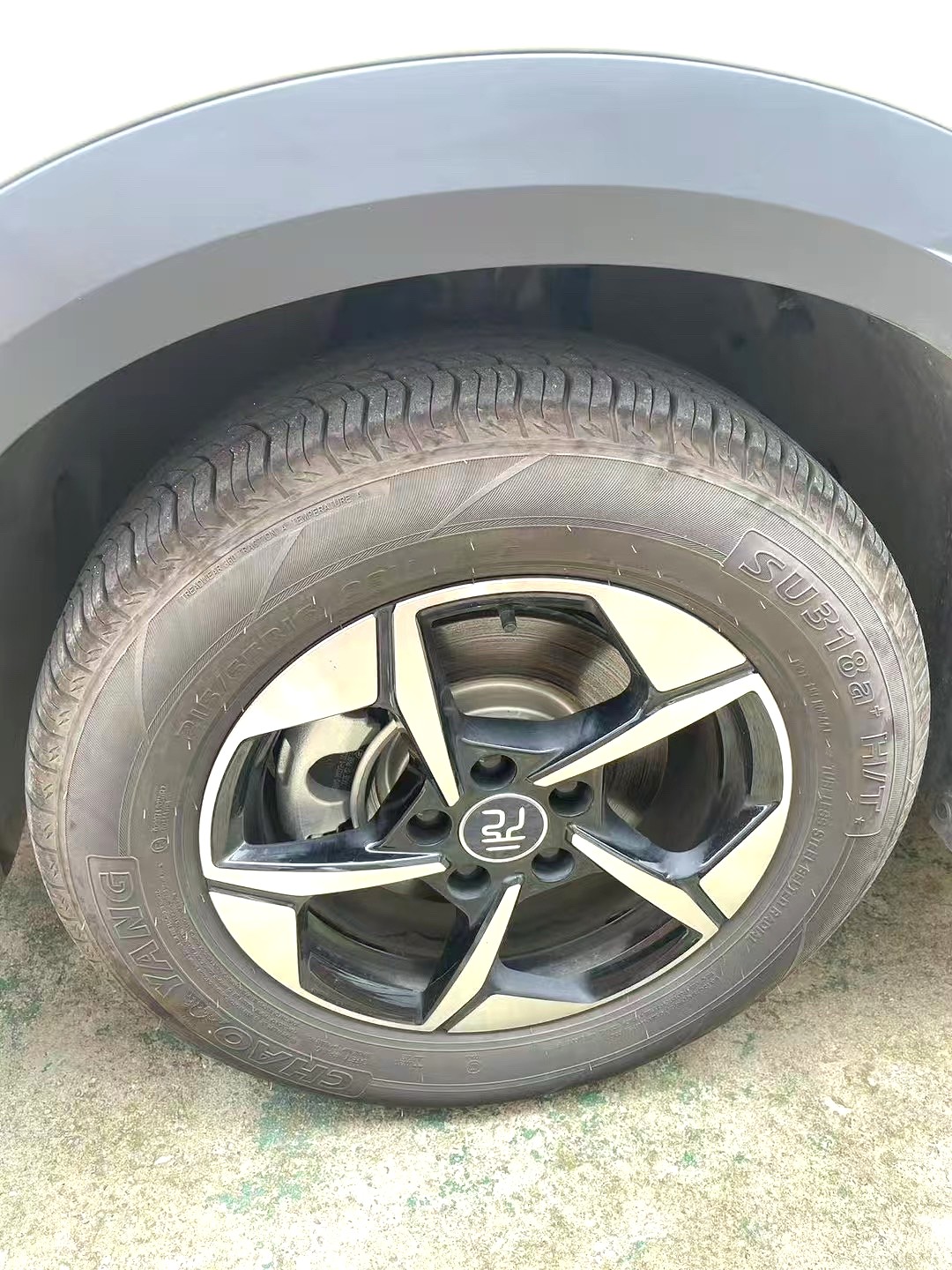BYD UP 401KM Vitality