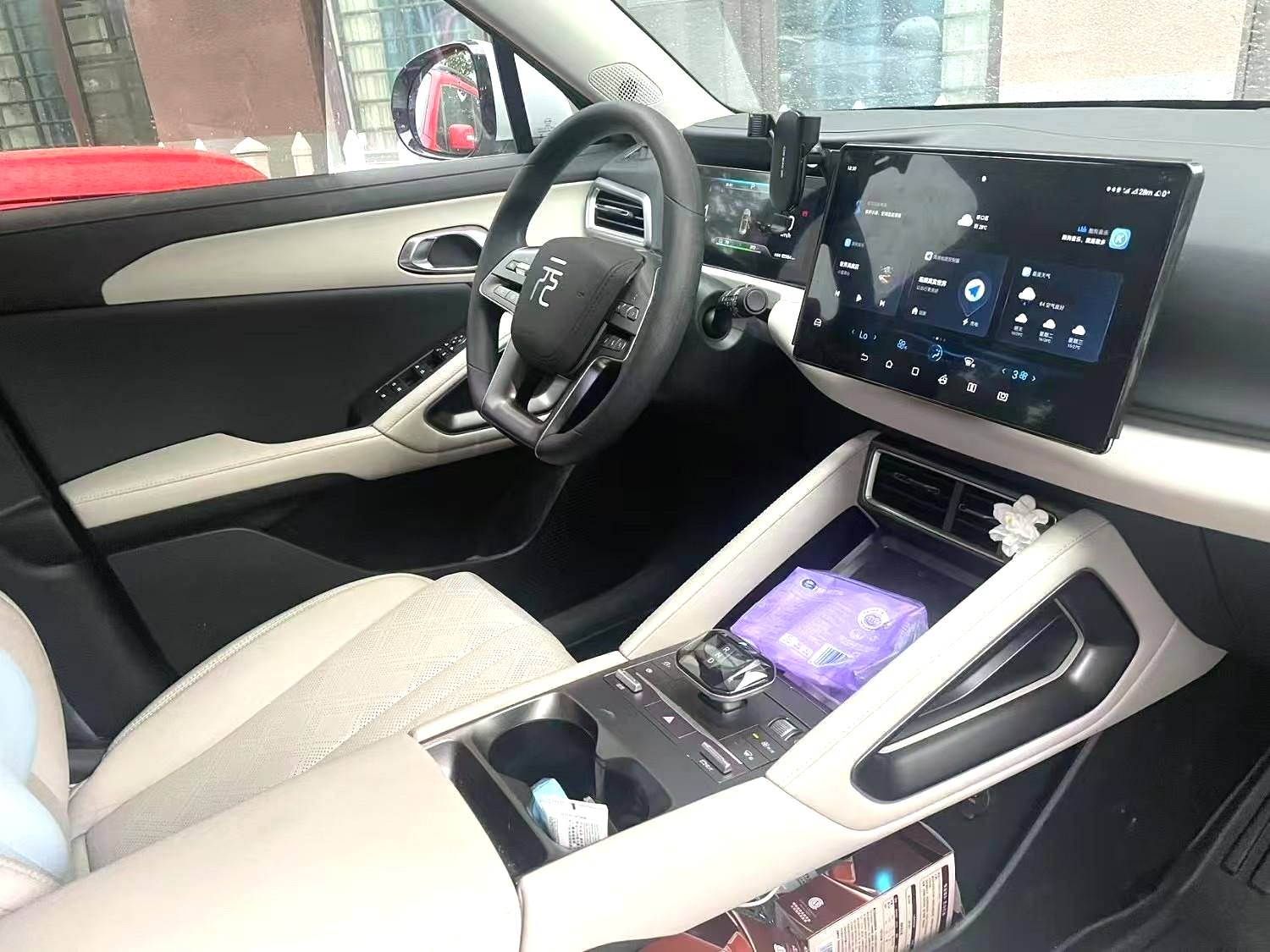 BYD UP 401KM Vitality
