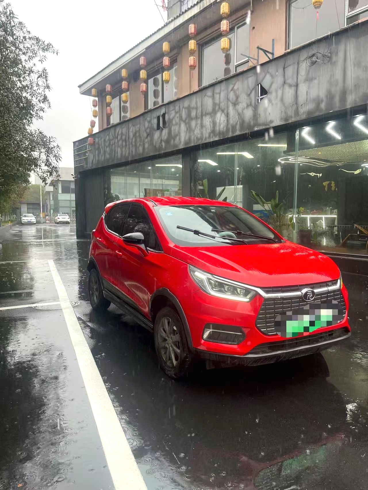 BYD Electric Vehicle 535