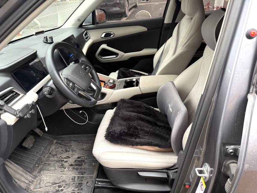BYD UP 401KM Advanced