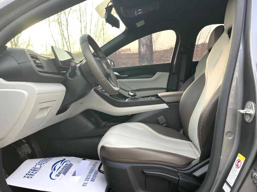 BYD PLUS DM i 55KM Advanced