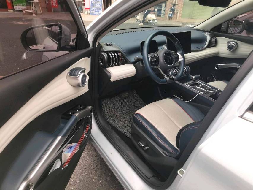 BYD PLUS 430KM Premium