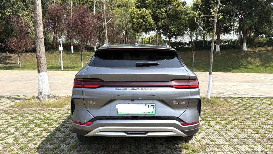BYD PLUS New Energy DM i 110km Flagship