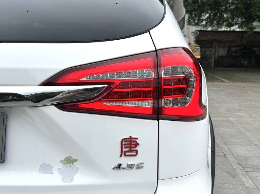 BYD 2.0T 4WD