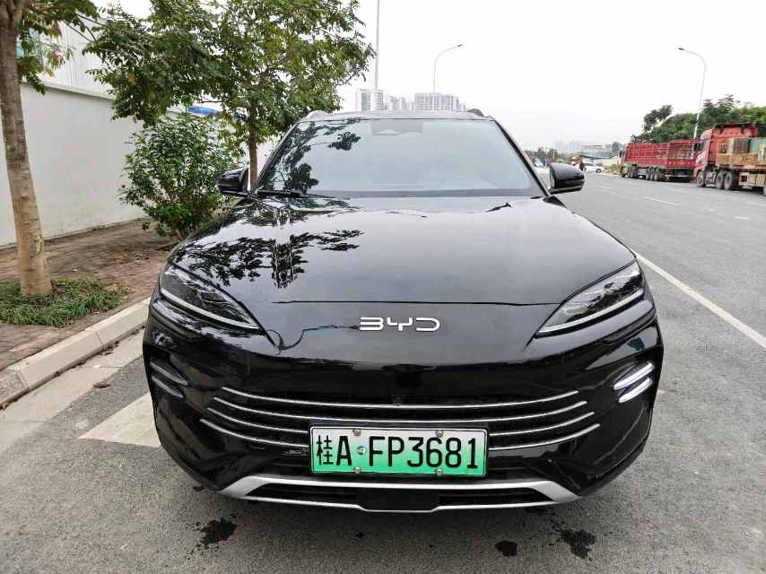 BYD PLUS New Energy DM i 110KM Flagship