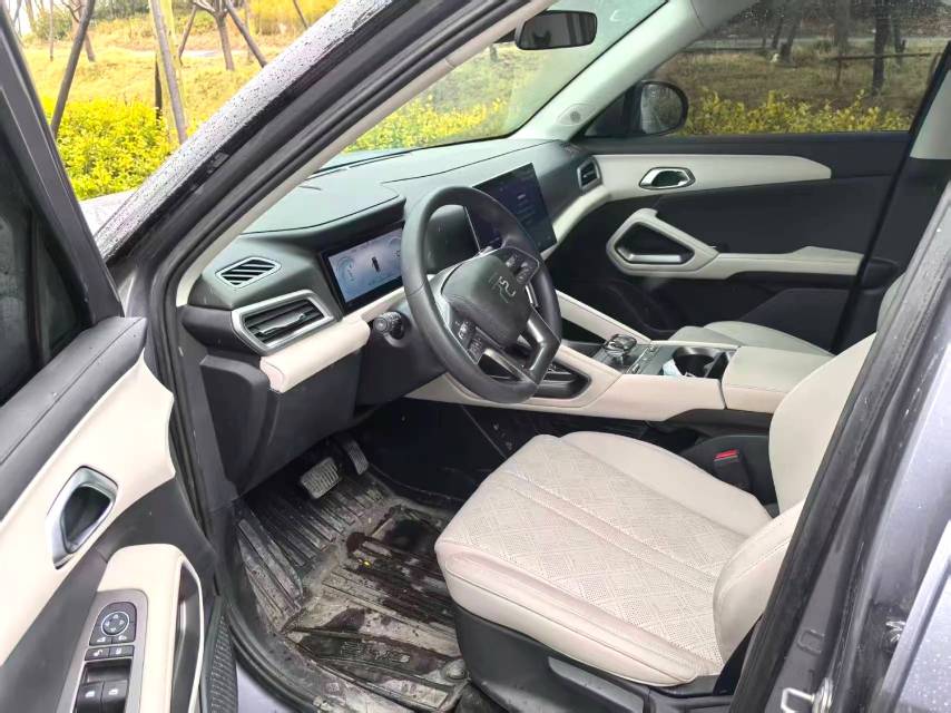 BYD UP 401KM Advanced