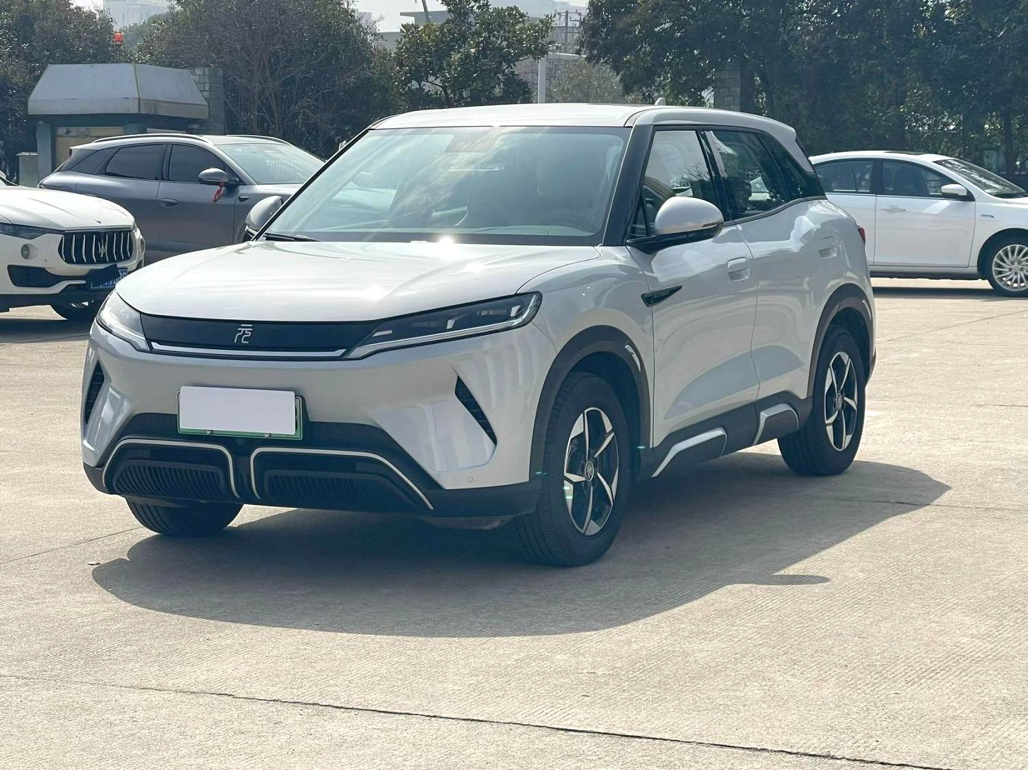 BYD UP 401KM Advanced