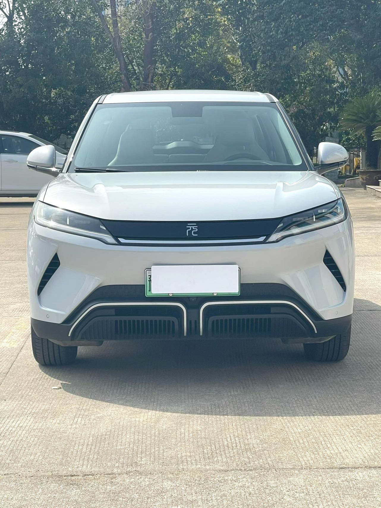 BYD UP 401KM Advanced