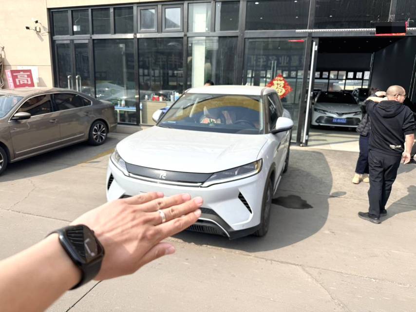 BYD UP 401KM Vitality