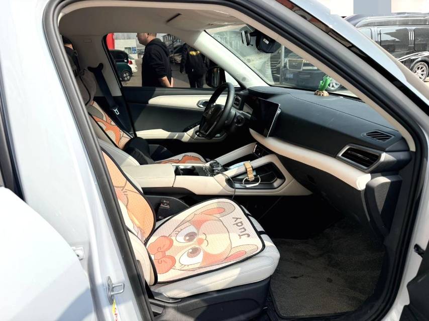 BYD UP 401KM Vitality