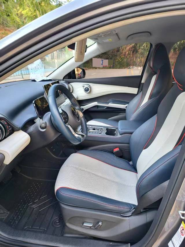 BYD PLUS 510KM