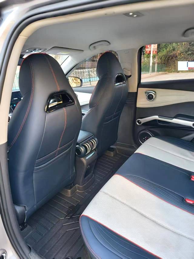 BYD PLUS 510KM
