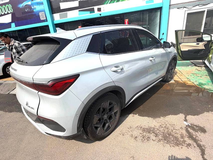 BYD PLUS 510 км — флагманская модель