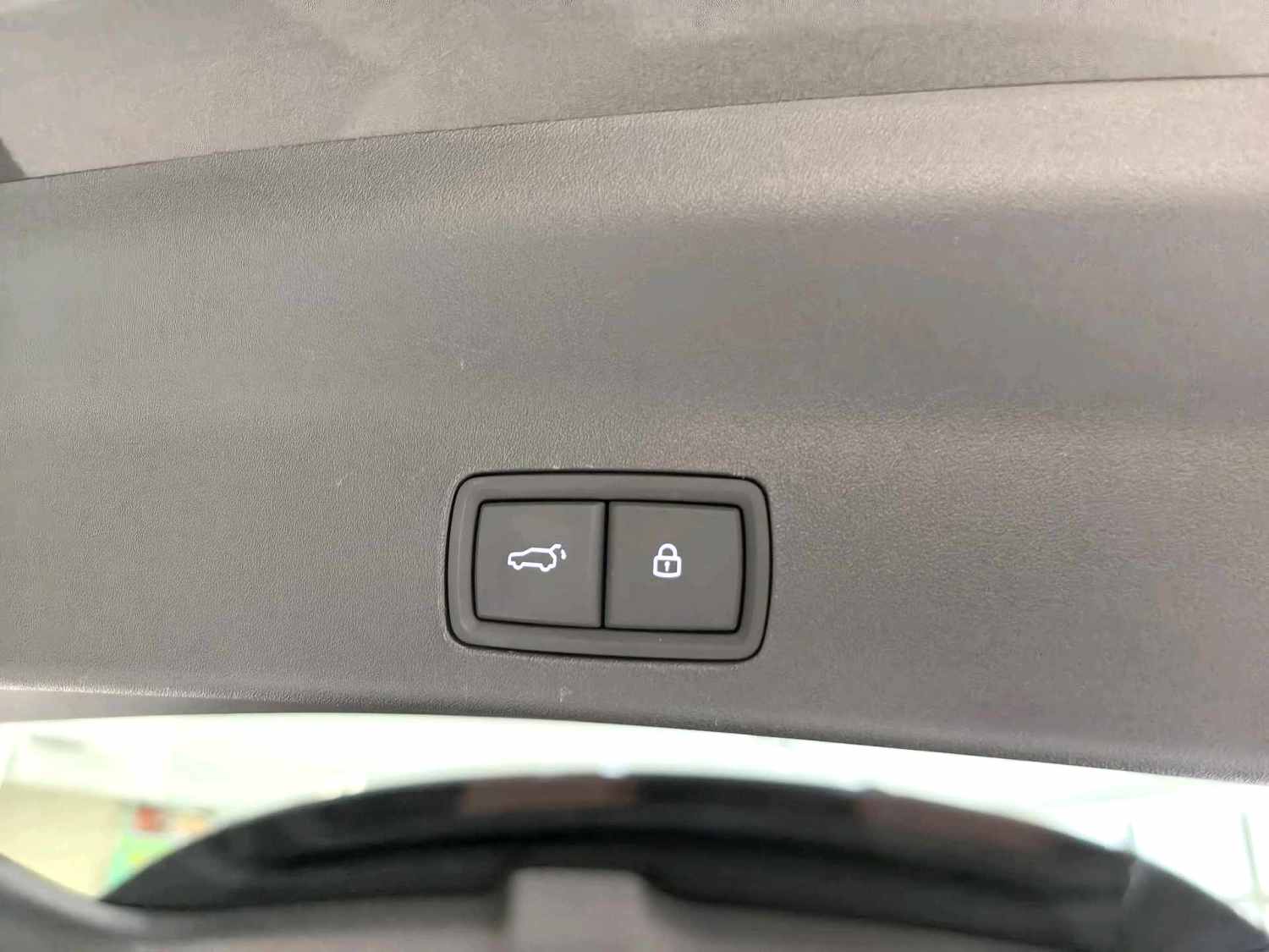 Li Auto L (Liter) 9 Pro