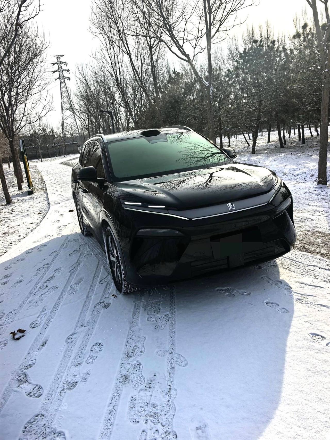 BYD L (литр) DM 200 км 4WD