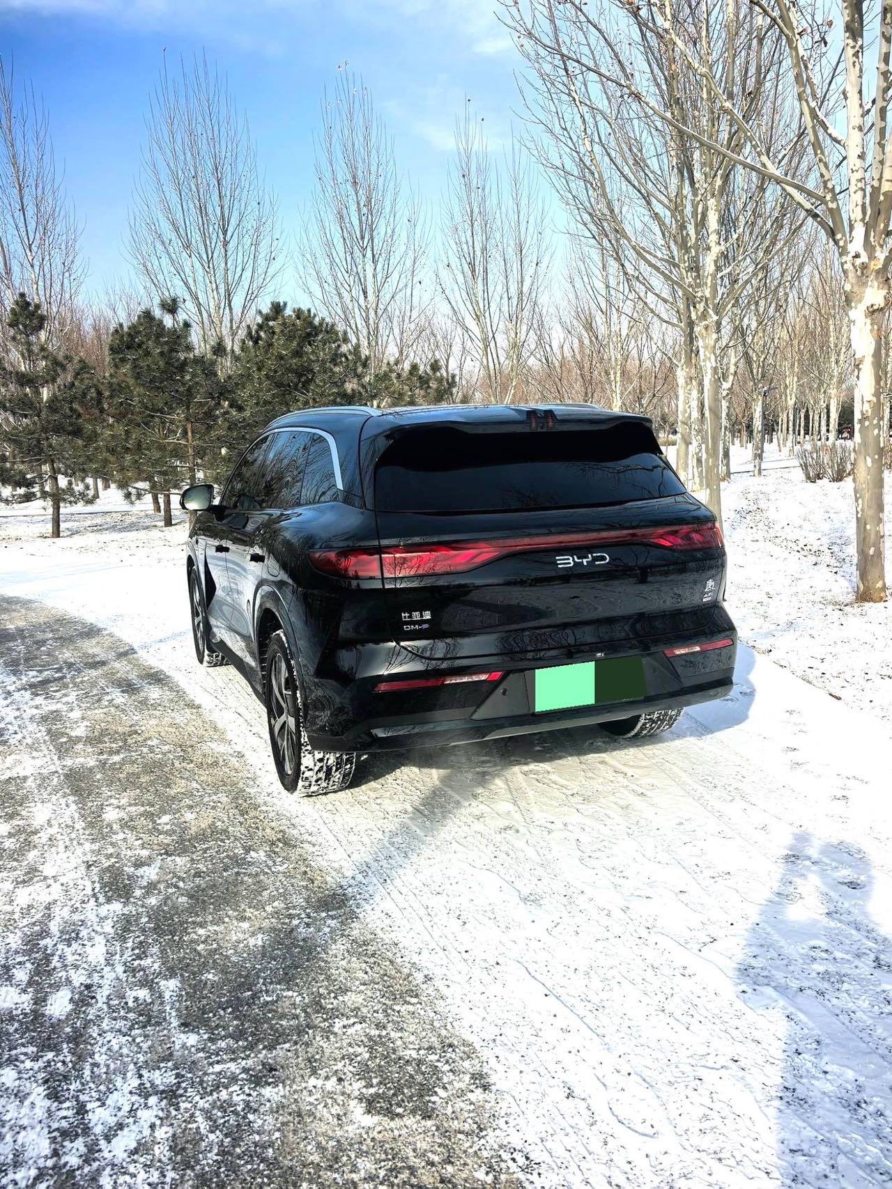 BYD L (литр) DM 200 км 4WD