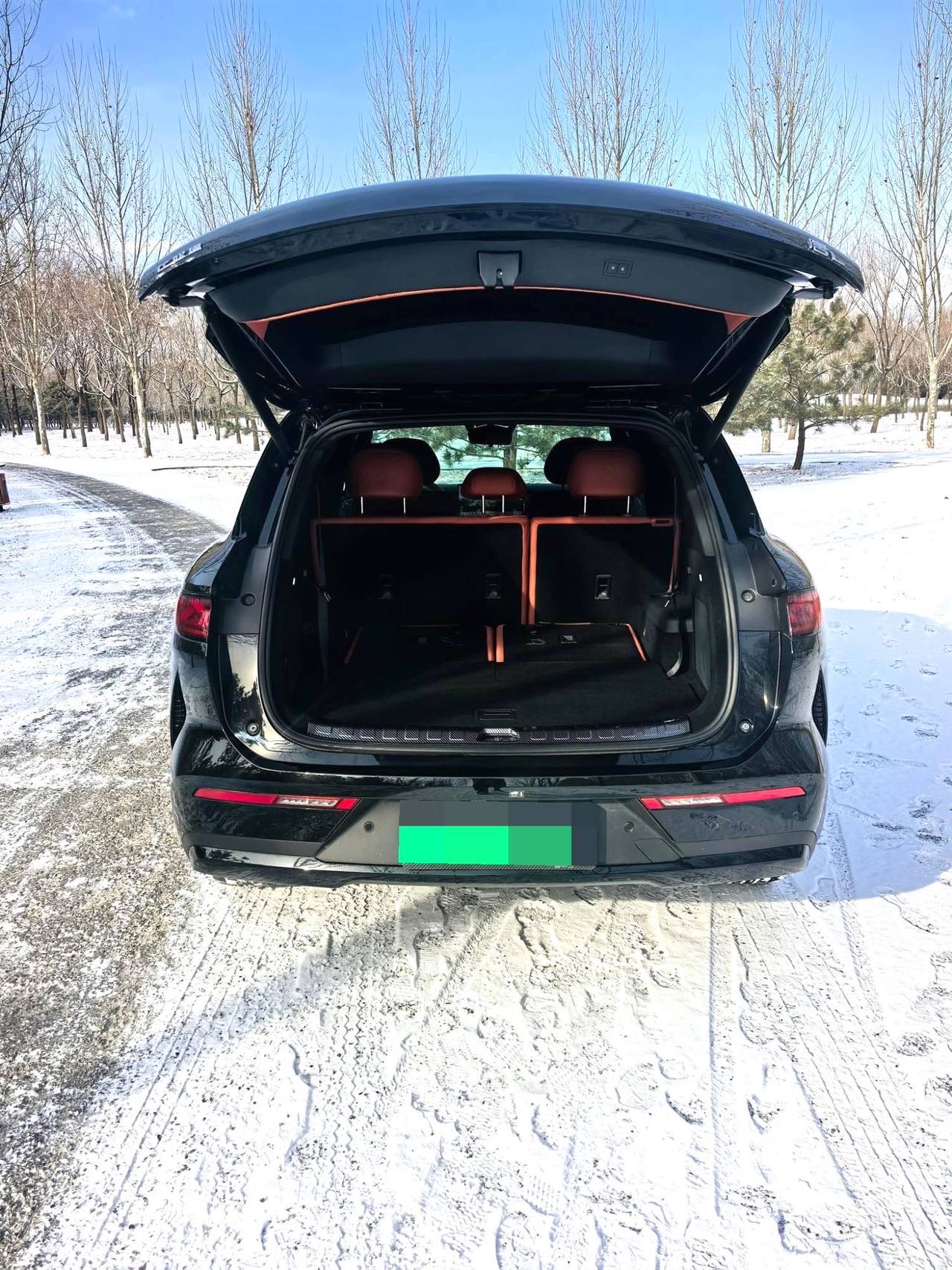 BYD L (литр) DM 200 км 4WD