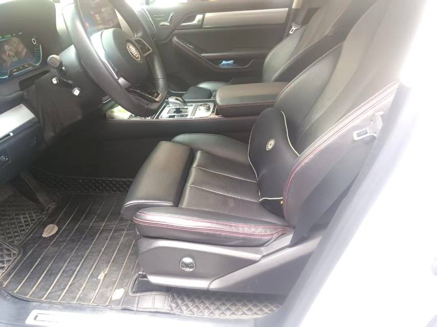 唐新能源 Model Year Electric Vehicle 600D 四驱智联创世版