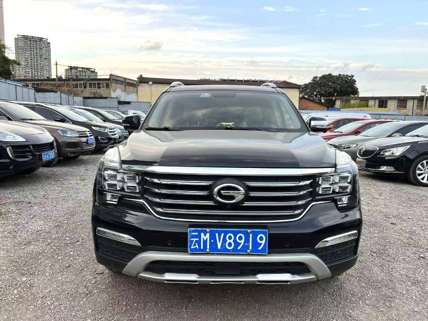 传祺 GS 8 Model Year 320T 两驱尊贵版 七座