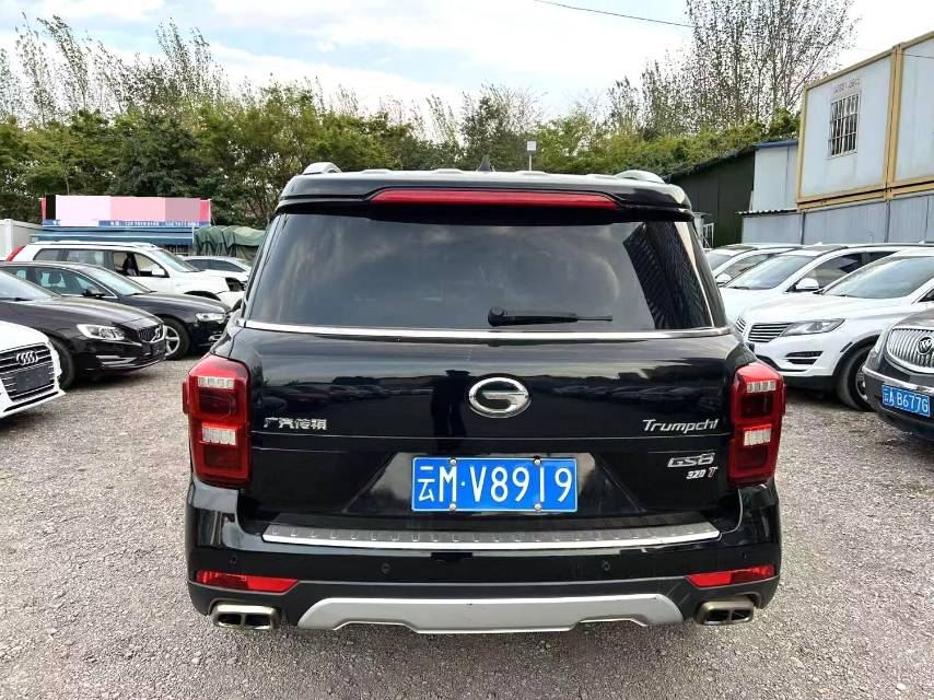 传祺 GS 8 Model Year 320T 两驱尊贵版 七座