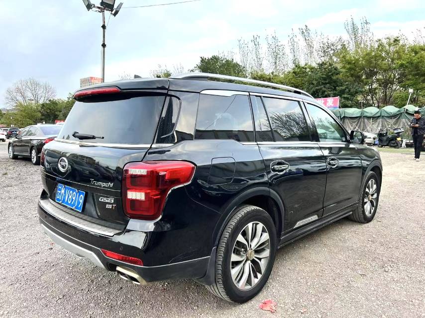 传祺 GS 8 Model Year 320T 两驱尊贵版 七座