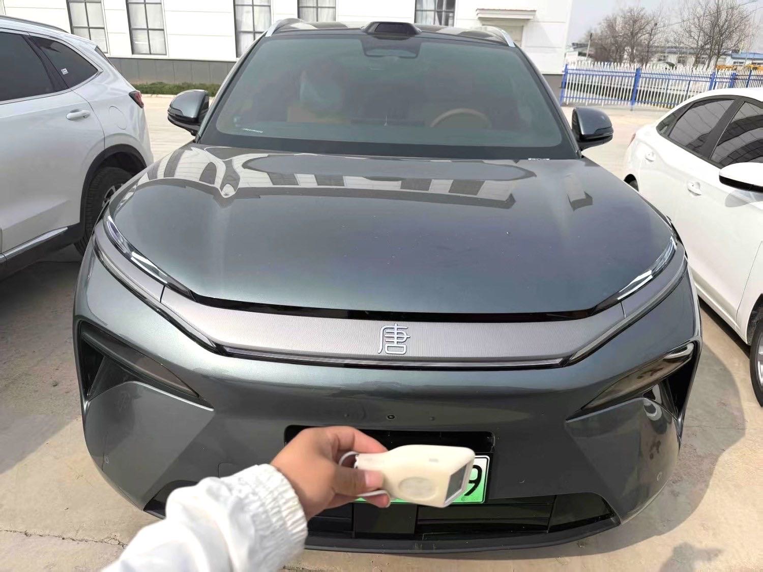 BYD L (Liter) DM 200KM 4WD