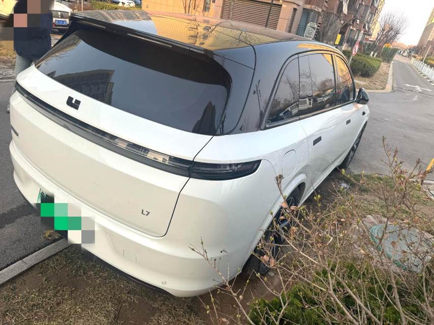 理想 L (Liter) 7 Model Year Pro