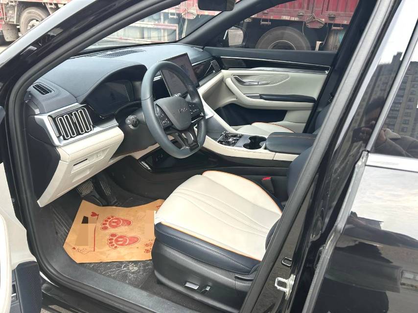 BYD PLUS New Energy DM i 110KM Flagship