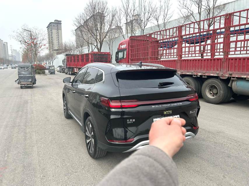 BYD PLUS New Energy DM i 110KM Flagship