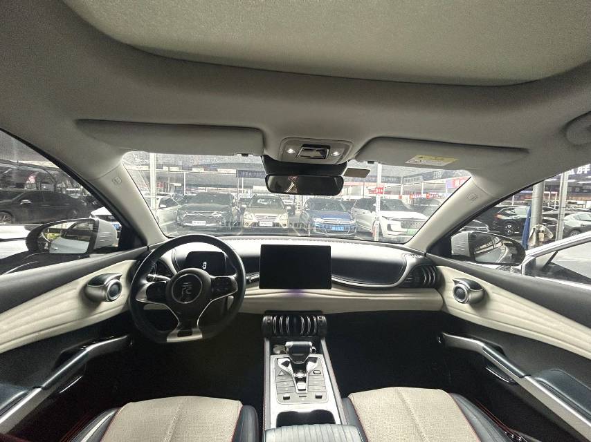 BYD PLUS 510KM Flagship