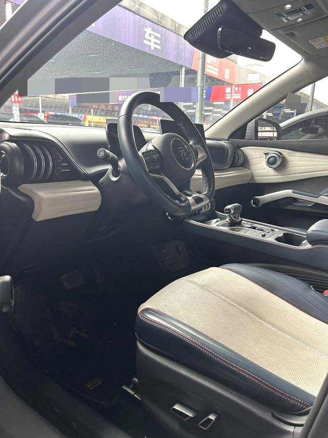 BYD PLUS 510KM Flagship