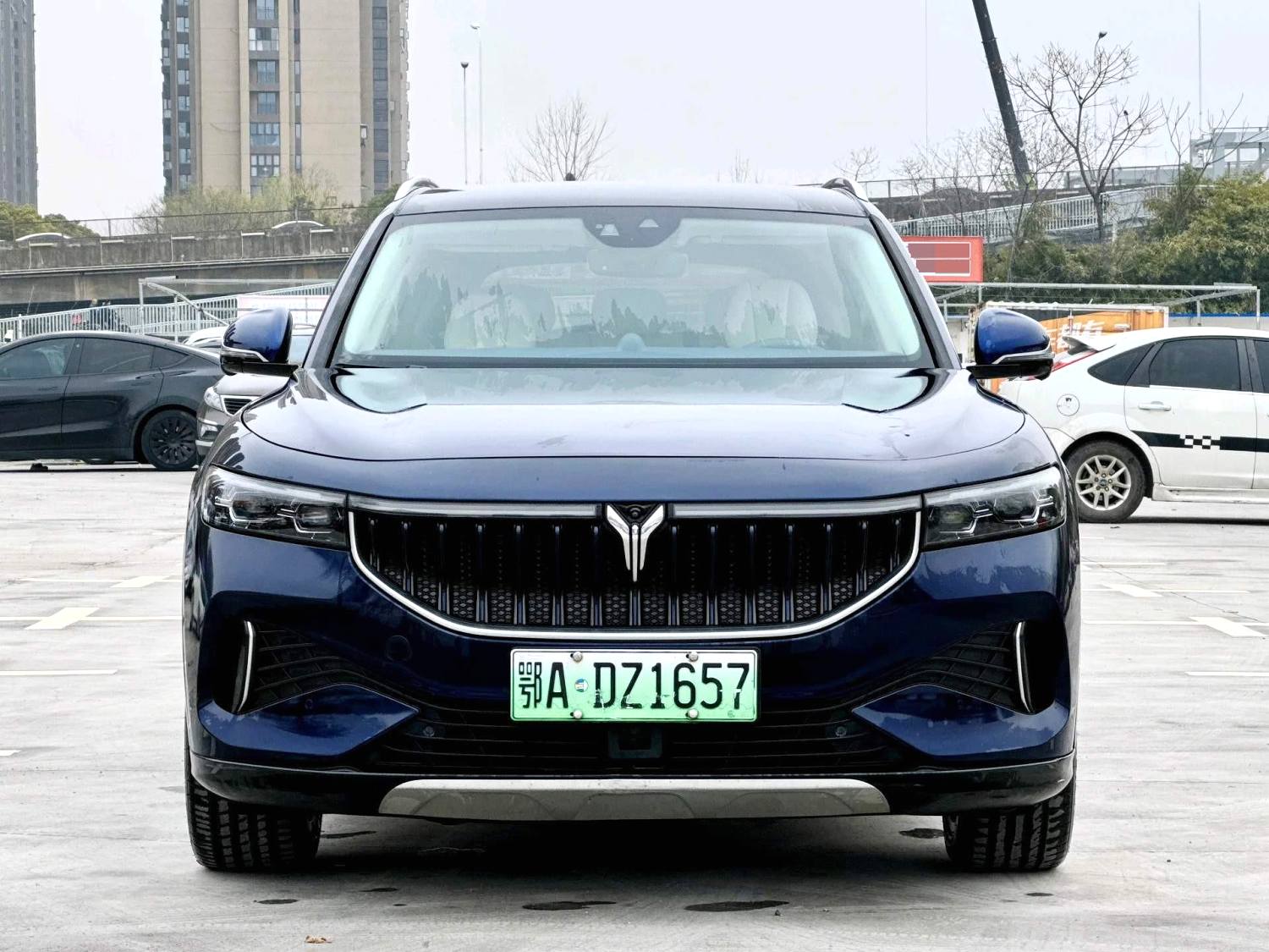 岚图 FREE Model Year 四驱标准纯电专属豪华套装