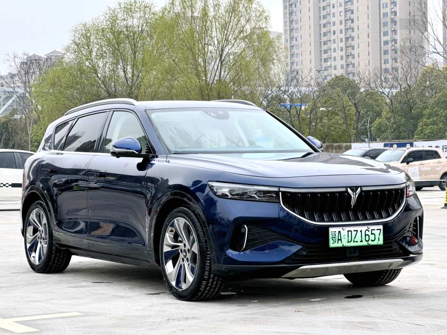 岚图 FREE Model Year 四驱标准纯电专属豪华套装
