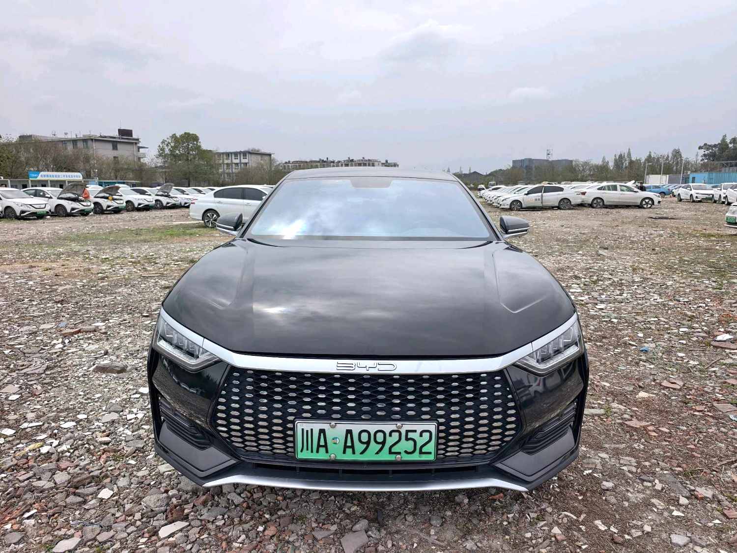 BYD e 9
