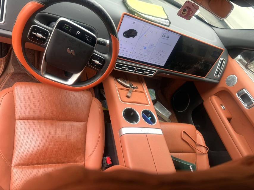 Li Auto L (Liter) 6 Pro