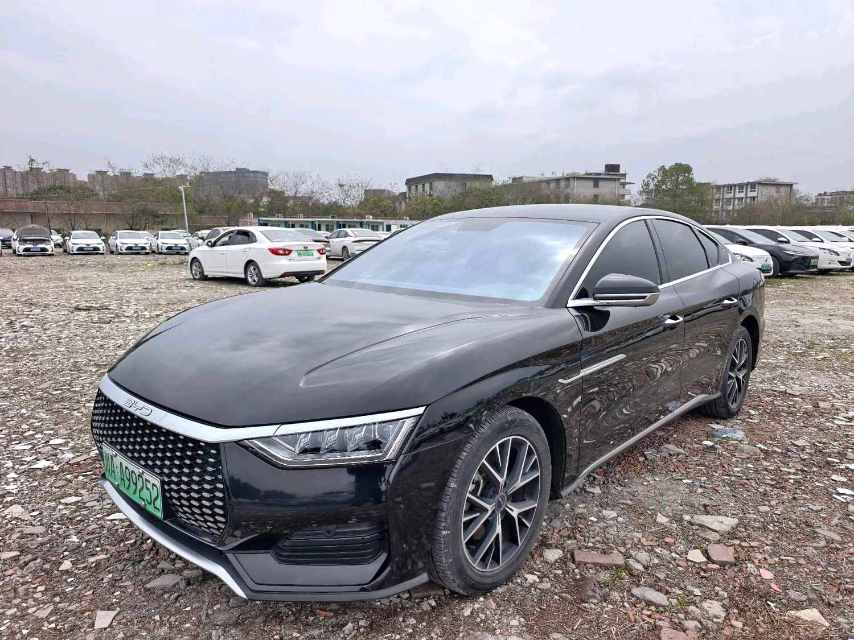 BYD e 9