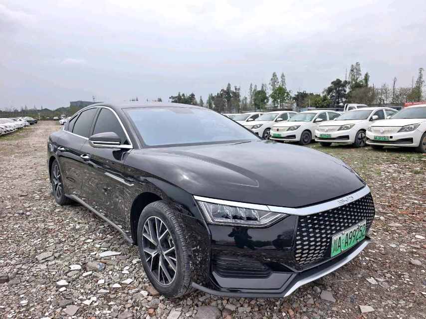 BYD e 9