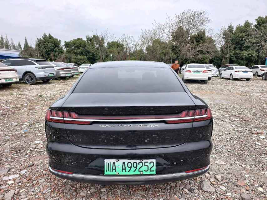 BYD e 9