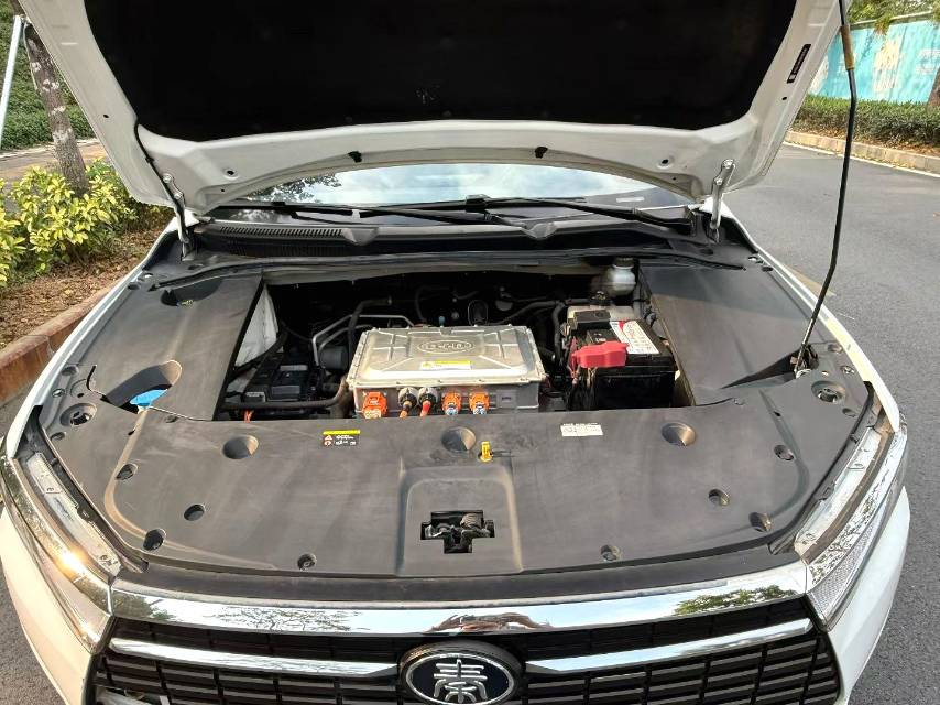 BYD UP 401KM Vitality