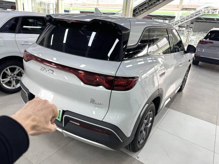 BYD UP 401KM Vitality
