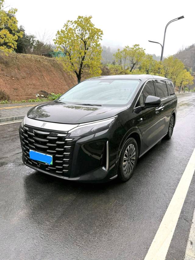 BYD DM i 1.5T 100km Advanced