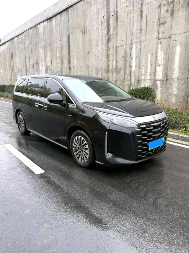 BYD DM i 1.5T 100km Advanced