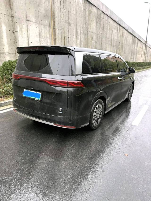 BYD DM i 1.5T 100km Advanced