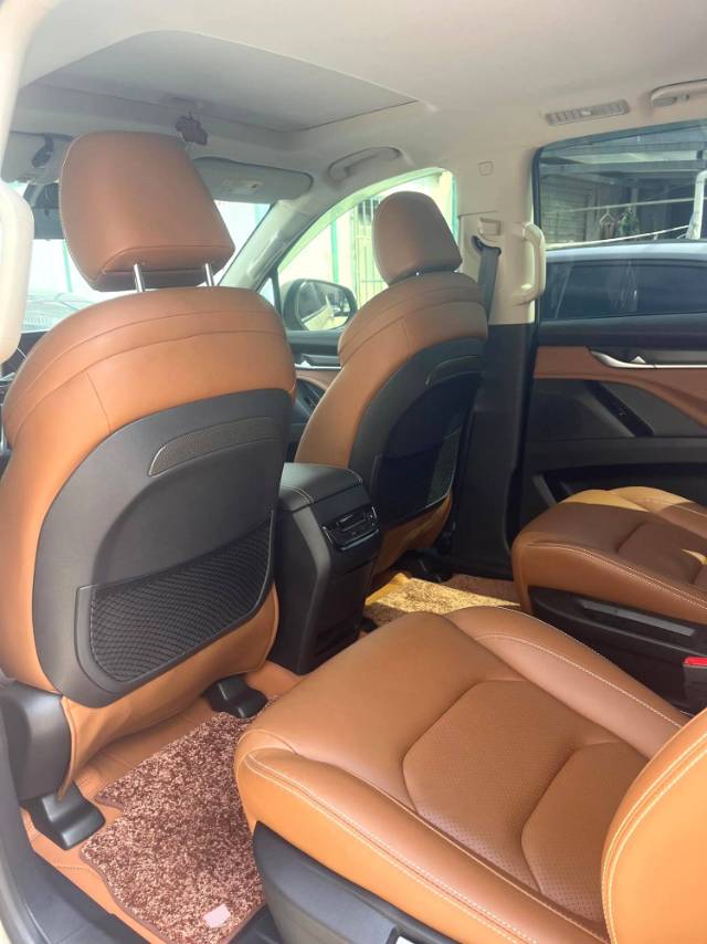 上汽大通 MAXUS D 90 Model Year 2.0T 自动两驱 水星