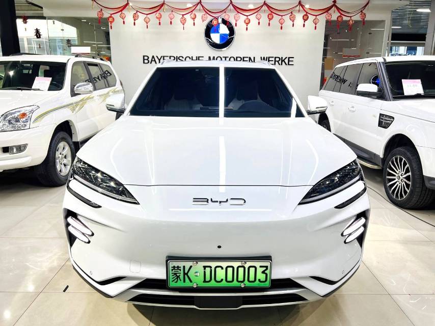 BYD PLUS New Energy Electric Vehicle 520KM Premium