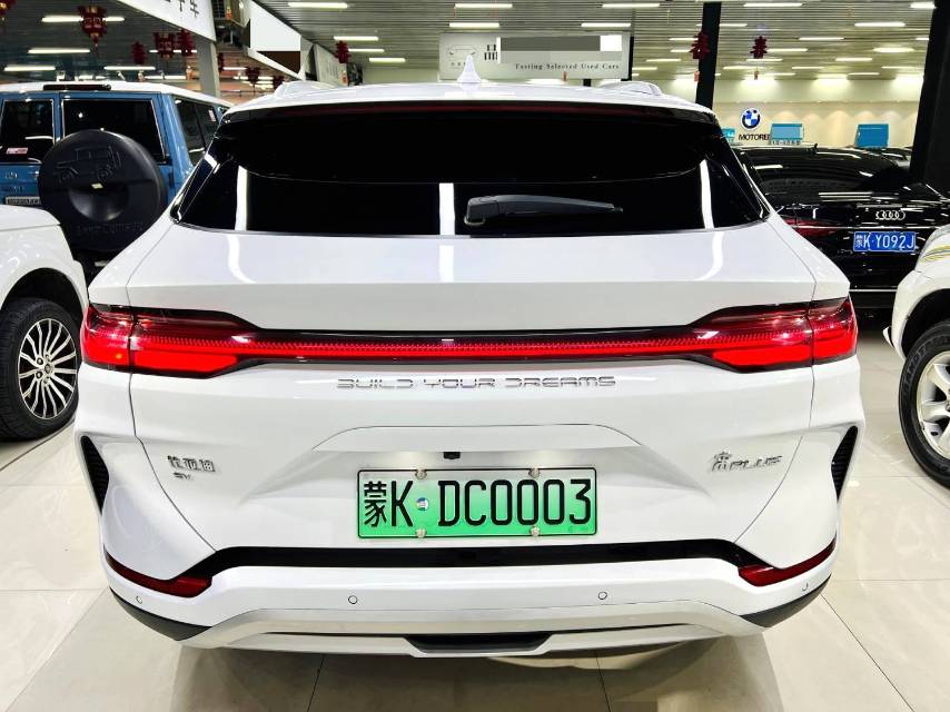 BYD PLUS New Energy Electric Vehicle 520KM Premium