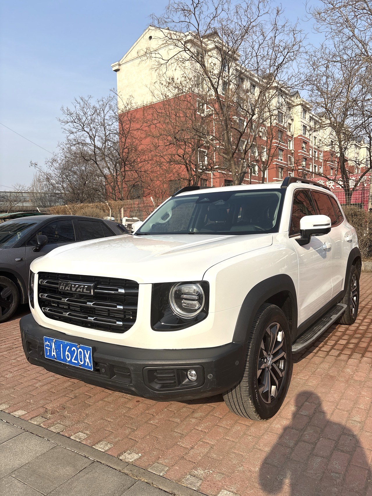 哈弗大狗 Model Year Facelift 1.5T DCT 两驱马犬 旺财版